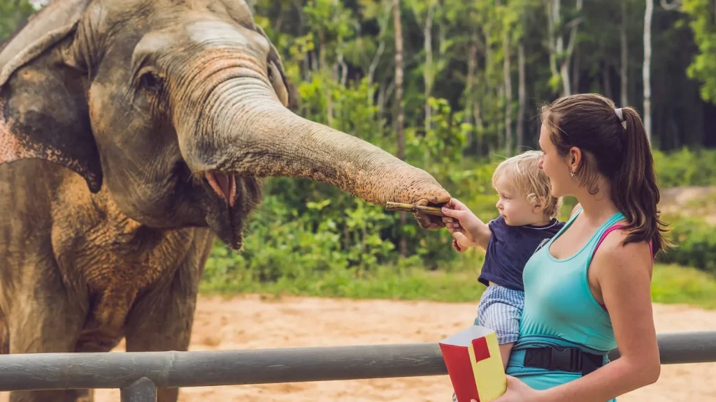 A woman carrying a young child, shares food with an elephant. The elephant accepting the food at the end of its extended trunk.